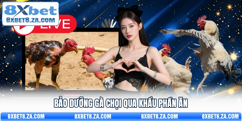 Bảo dưỡng gà chọi qua khẩu phần ăn
