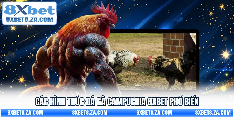 Các hình thức đá gà Campuchia 8Xbet phổ biến