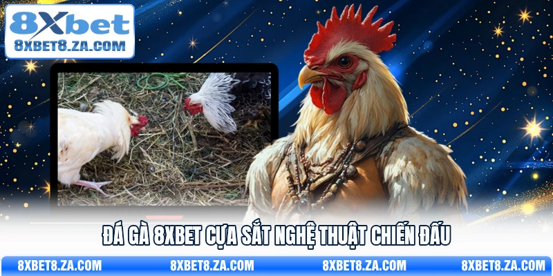 Đá gà 8Xbet cựa sắt nghệ thuật chiến đấu