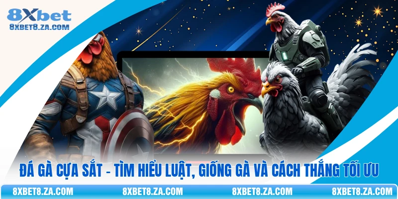 Đá Gà Cựa Sắt - Tìm Hiểu Luật, Giống Gà Và Cách Thắng Tối Ưu
