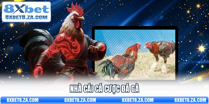 Nhà cái cá cược đá gà