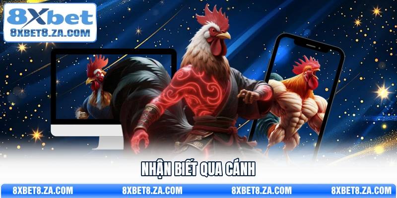 Nhận biết qua cánh