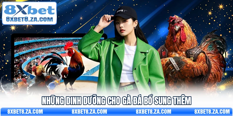 Những dinh dưỡng cho gà đá bổ sung thêm