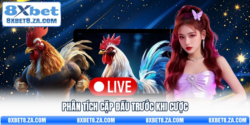 Phân tích cặp đấu trước khi cược