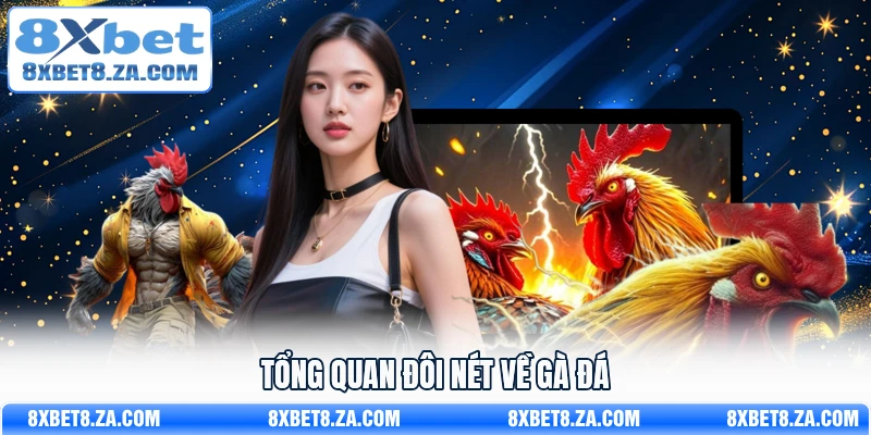 Tổng quan đôi nét về gà đá