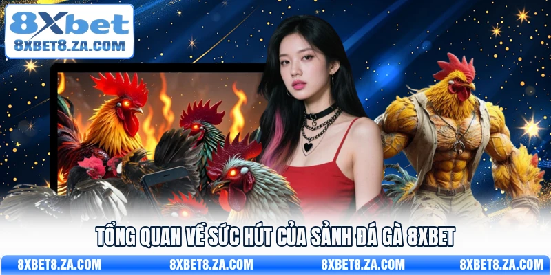 Tổng quan về sức hút của sảnh đá gà 8Xbet